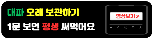 대파오래보관하는법-영상보기