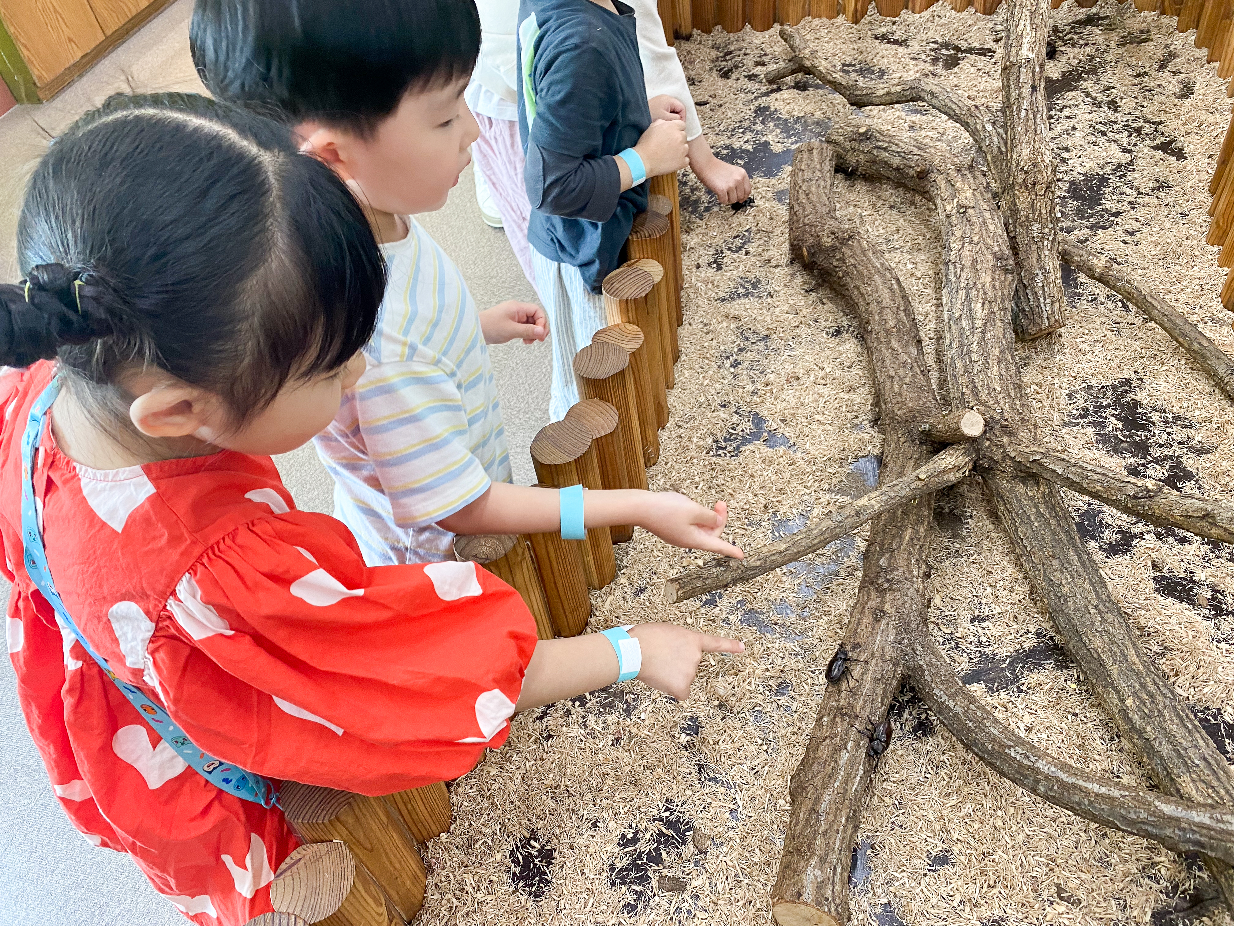 장수풍뎅이와 사슴벌레를 너무 좋아하는 별이네 가족