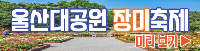 울산대공원 장미축제