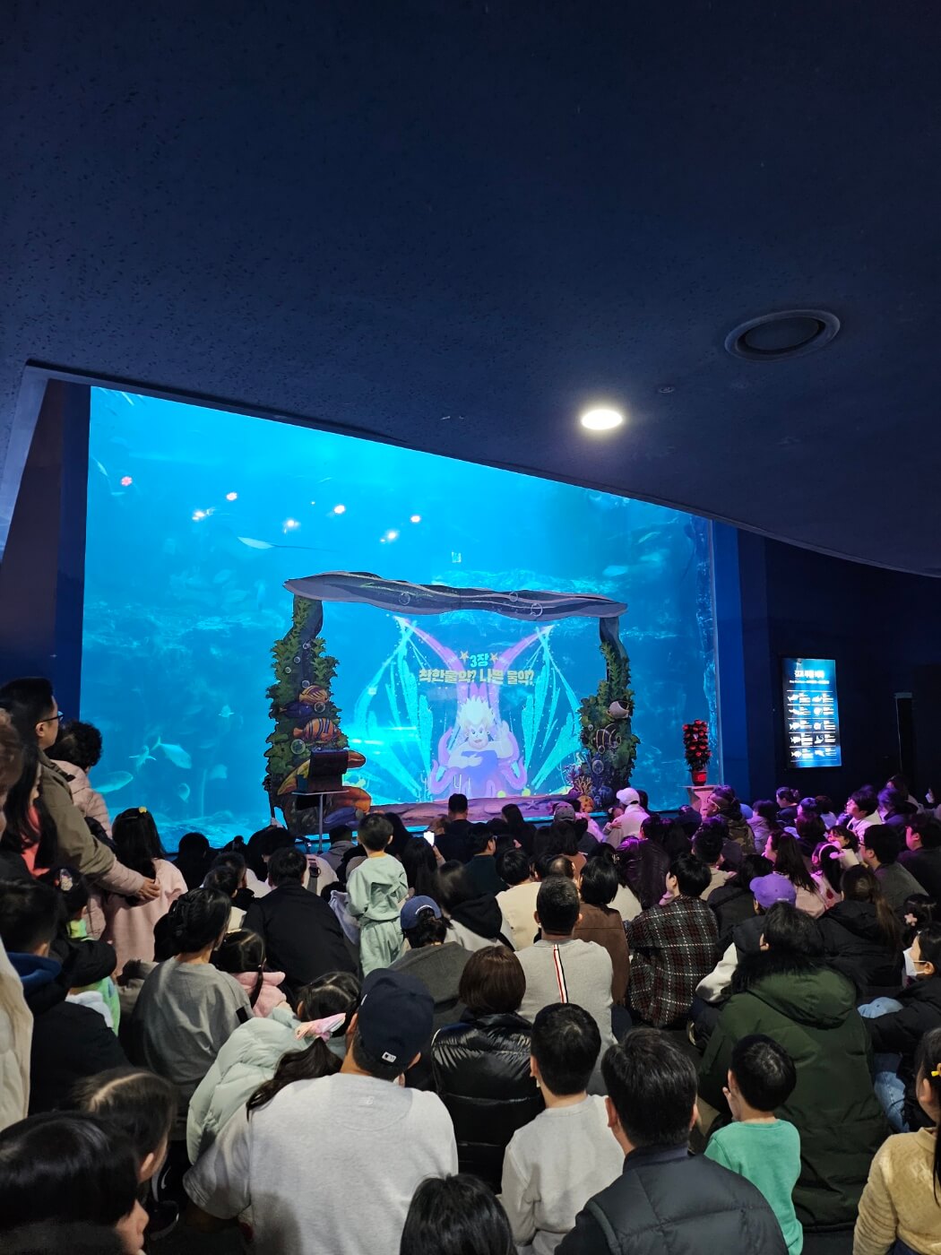 아쿠아플라넷-일산-공연