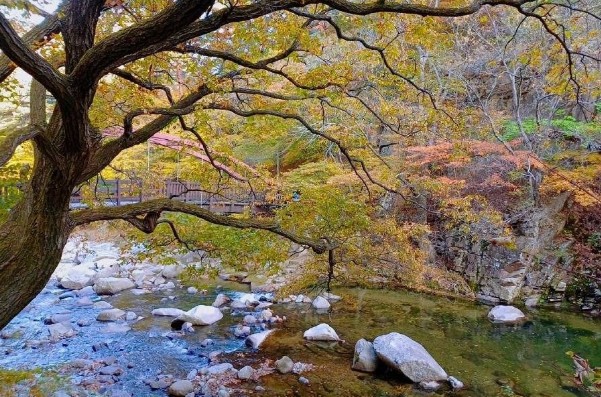 [경남 여행지 추천] 합천 가볼만한 곳 베스트 10 가야산 소리길