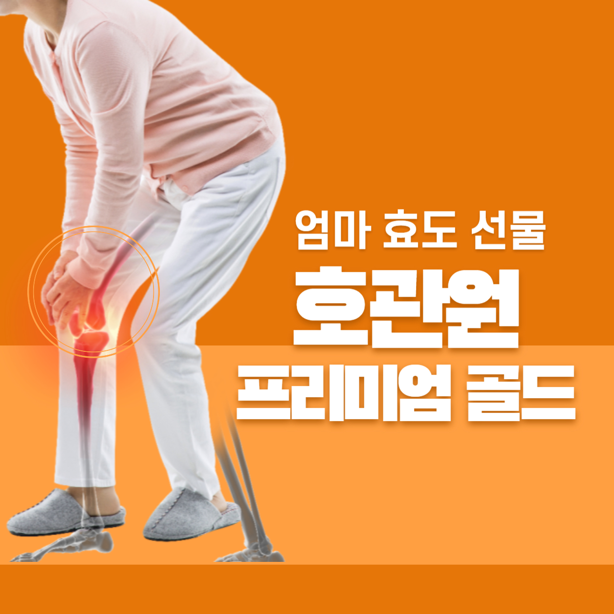 호관원 프리미엄 골드