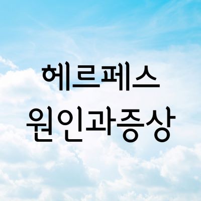 헤르페스원인과증상