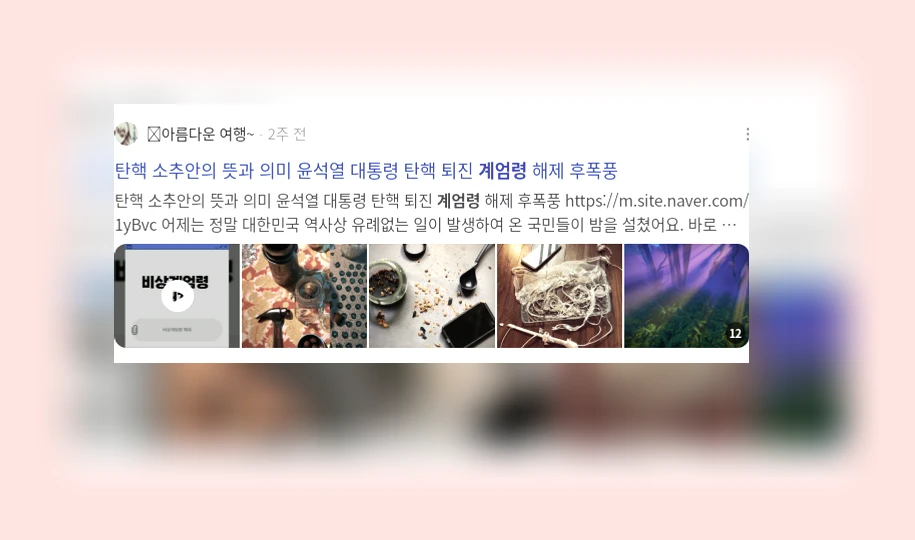 계엄령_3_subsection