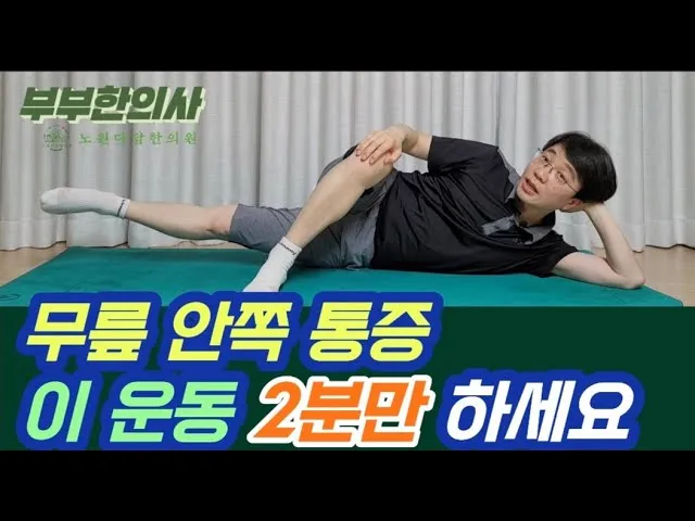 거위발 건염 원인과 증상 무릎 안쪽 통증 치료법 정리_2