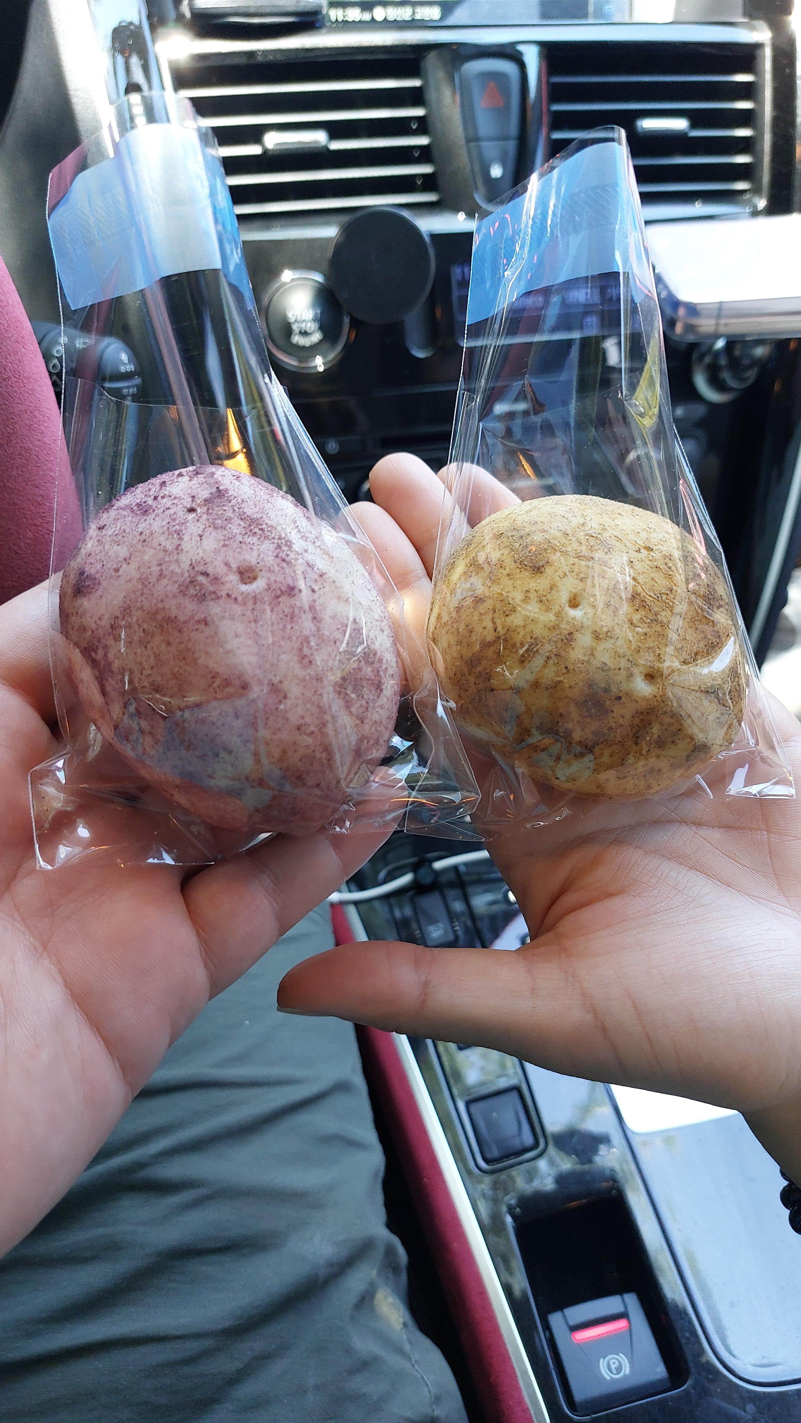 정선 감자빵 등장!