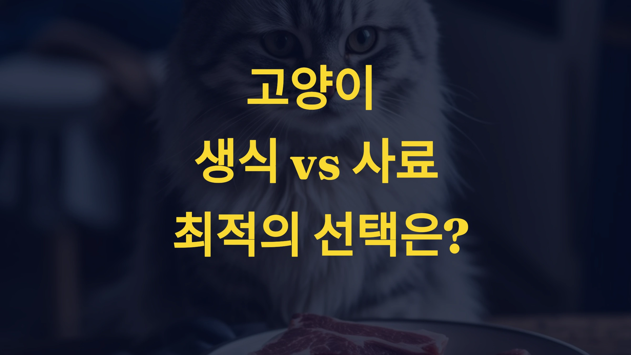 고양이 생식 vs. 사료, 어떤 것이 더 좋을까?