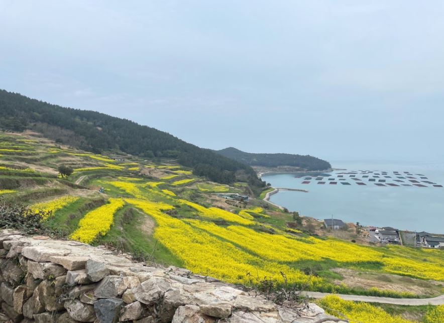 전라남도 완도 청산도에 관한 포스팅