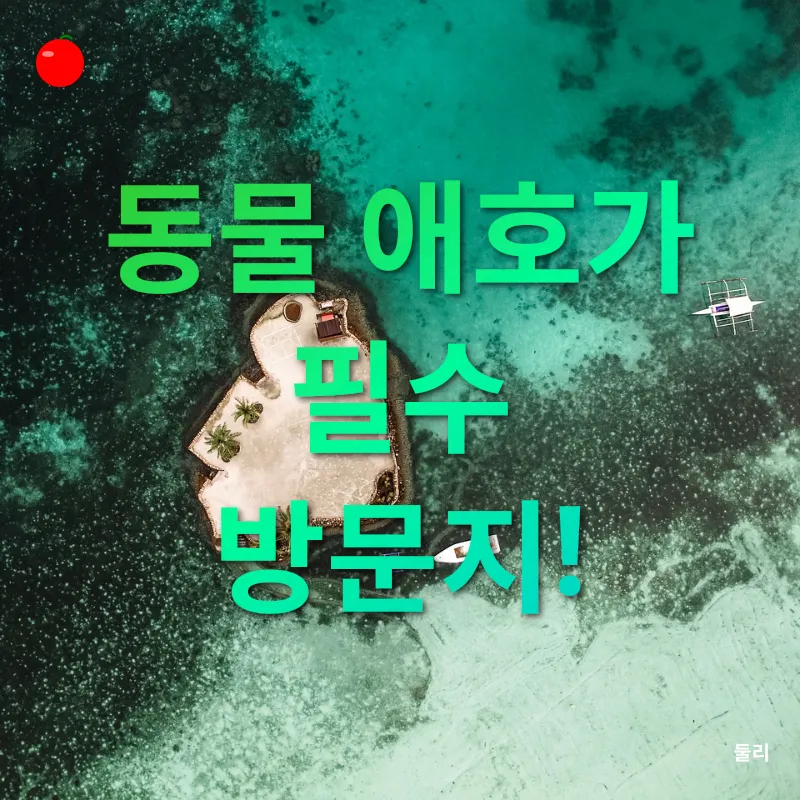 보홀 여행_1