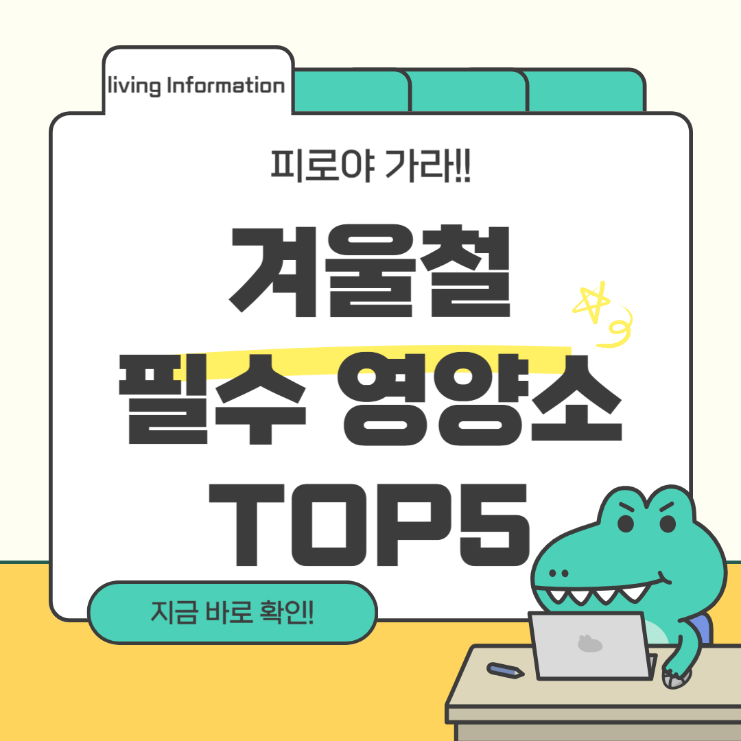 겨울철 필수 영양소 면역력 관리 방법