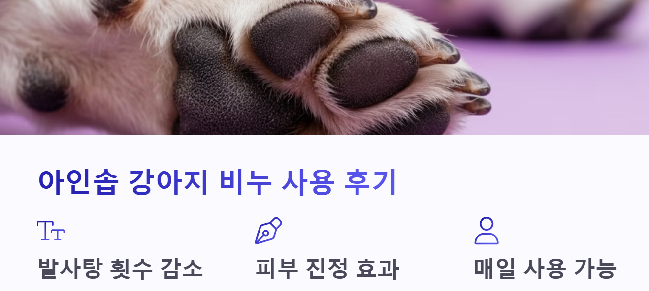 아인솝 사용 후기