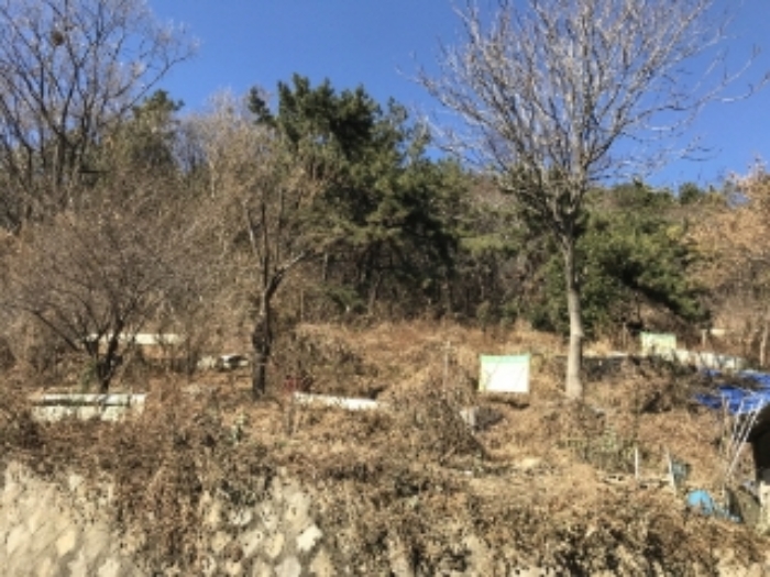 부산서부지원2021타경108156 전경