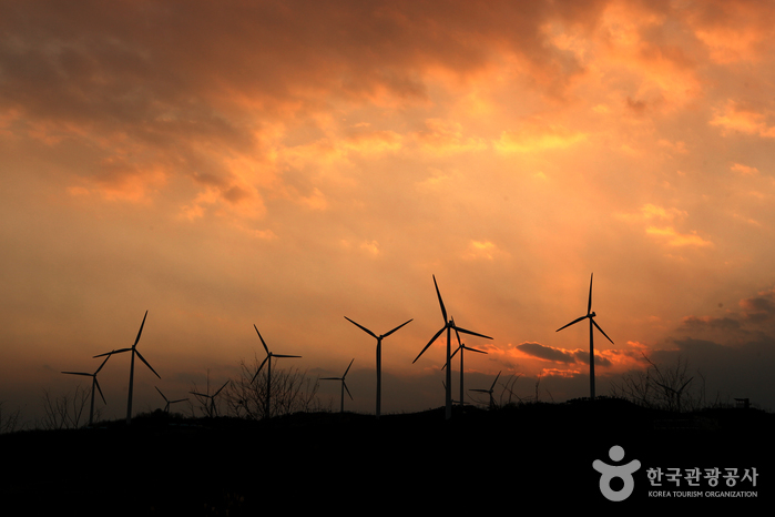 영덕 가볼만한곳 베스트10