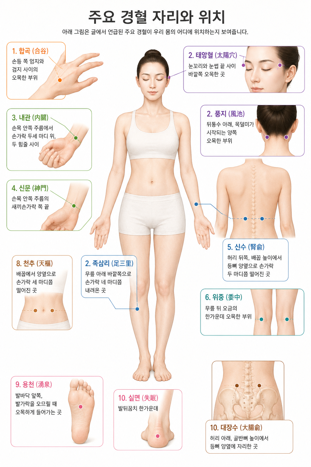 주요 경혈 자리와 위치