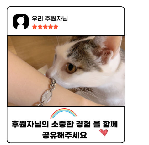 유기견에게-희망을-한나네-보호소-후원-팔찌