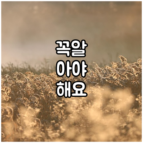 능동 대형폐기물 버릴 때, 이 3단계..
