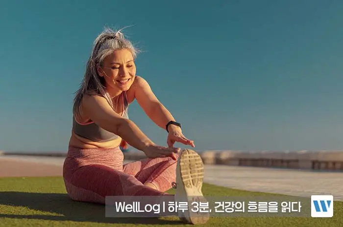 콘드로이친 효능