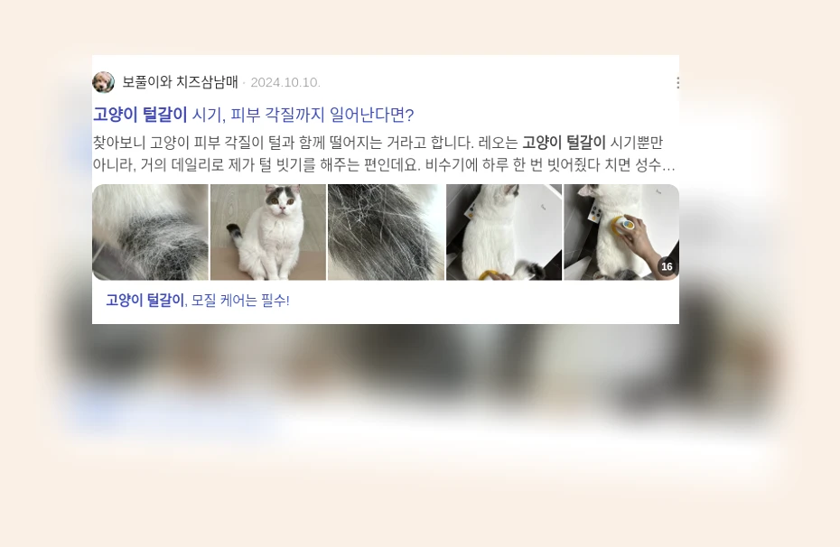 고양이 털갈이_2_subsection