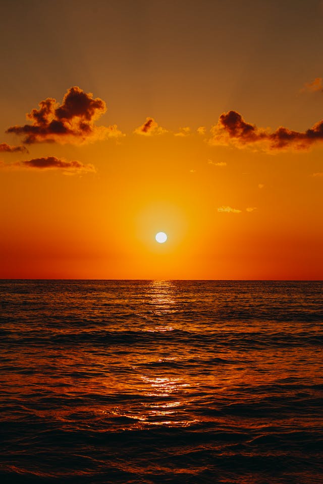 새해를 맞이하여