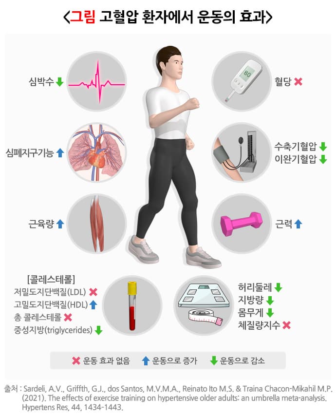 고혈압 환자의 운동 효과