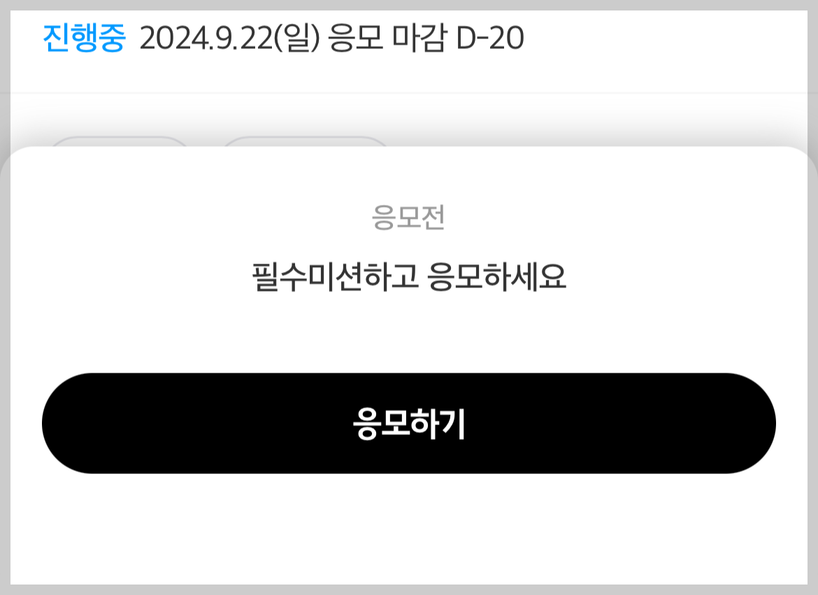 2024 여의도 불꽃축제