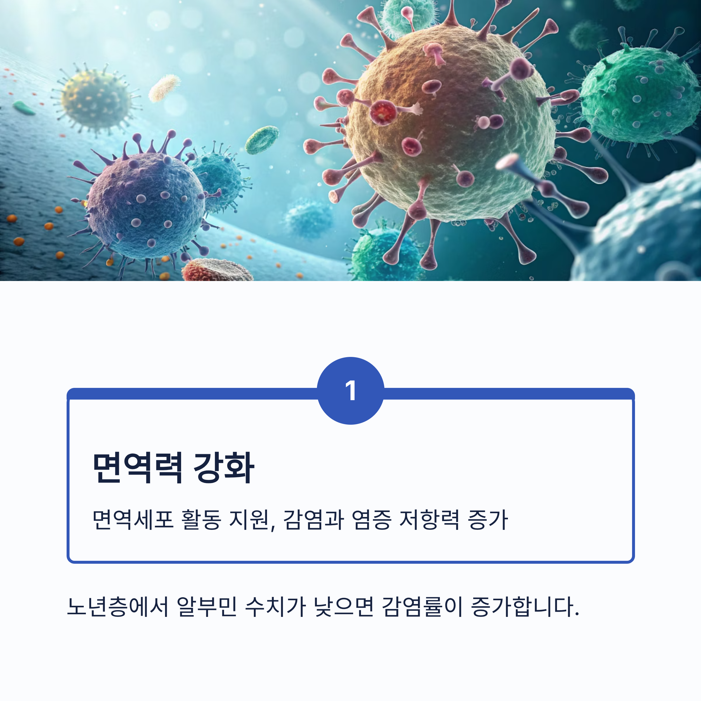 알부민의 효능 7가지｜면역력&middot;부종 개선&middot;간 기능 회복까지, 건강의 핵심 단백질