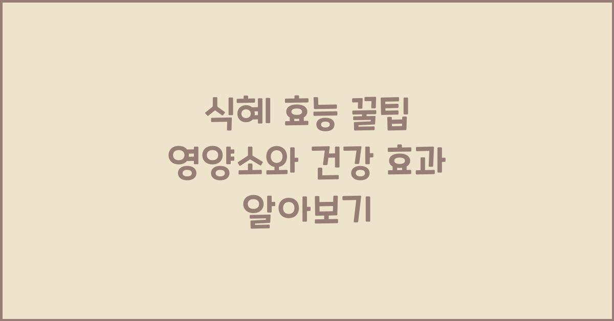 식혜 효능