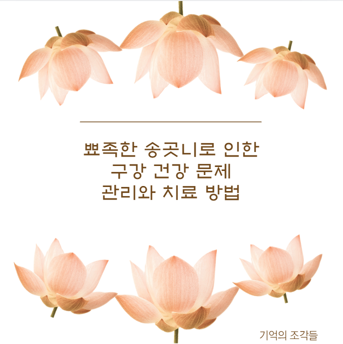 뾰족한 송곳니로 인한 구강 건강 문제 관리와 치료 방법