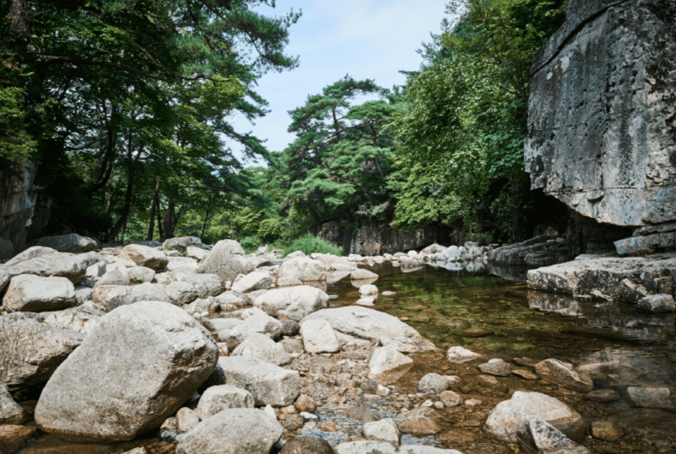 괴산군 쌍곡계곡