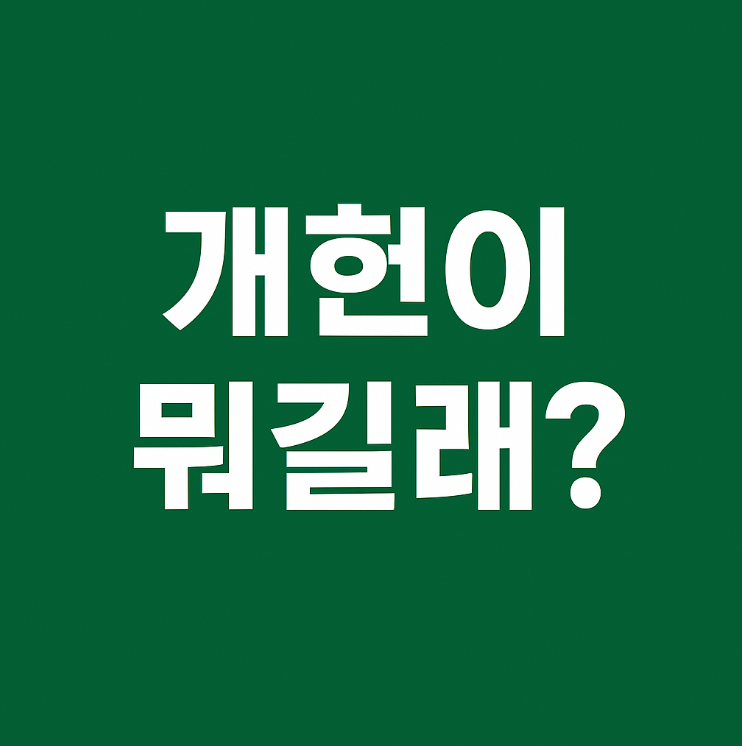 개헌
