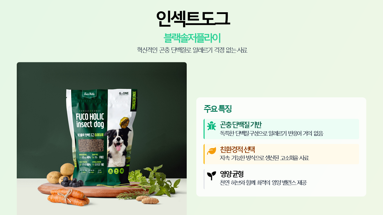 고기 알레르기 있는 강아지 사료 / 인섹트도그 블랙솔저플라이