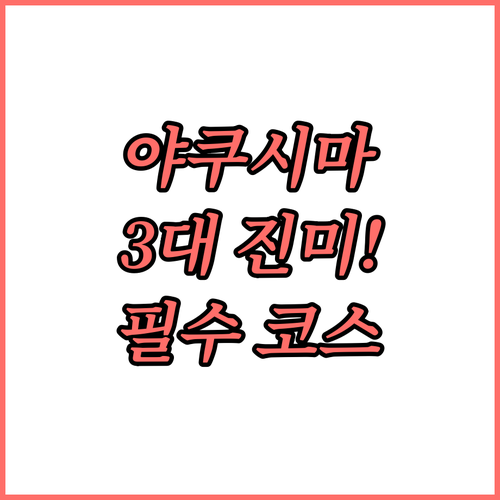 야쿠시마 사우스 빌리지 숙박 후 필수..