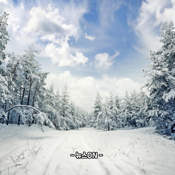 12월에 가볼만한 국내 여행지