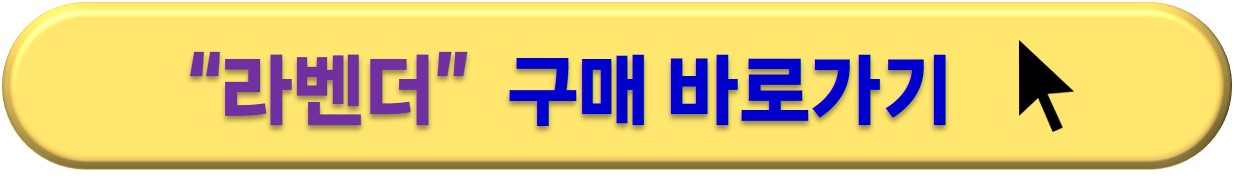 공기정화식물