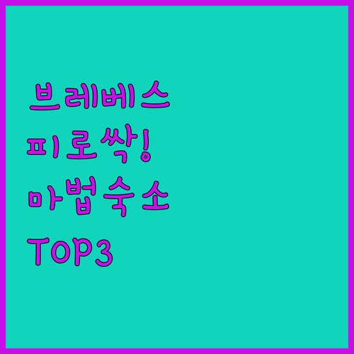 인도네시아 브레베스 숙소 장거리 운전..