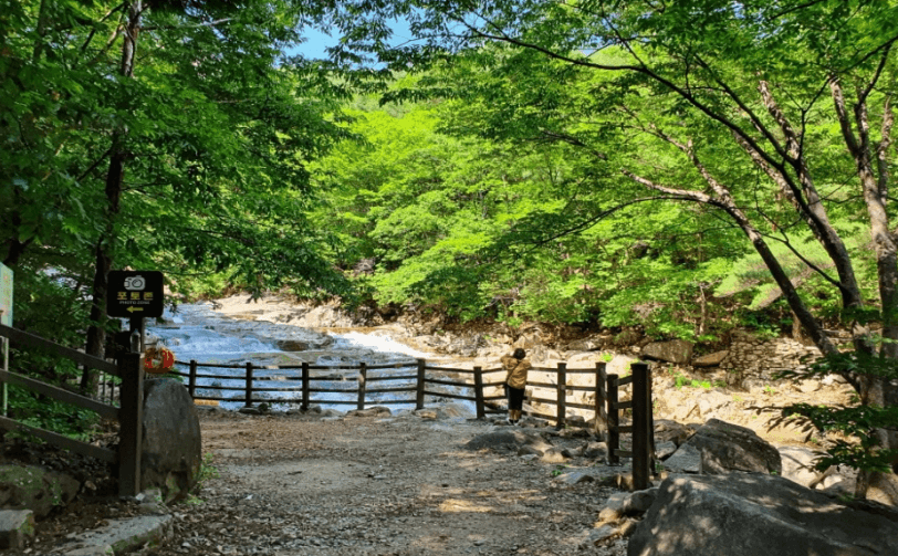 밀양 호박소계곡