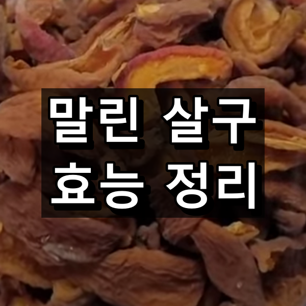 말린 살구의 효능