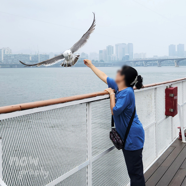 여의도-이랜드크루즈-유람선
