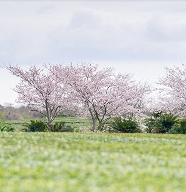 관련 여행지 사진이미지
