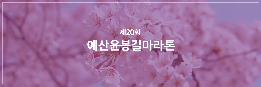 예산윤봉길마라톤