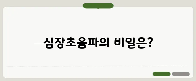 심장초음파 검사방법 직접 해보니 이렇게