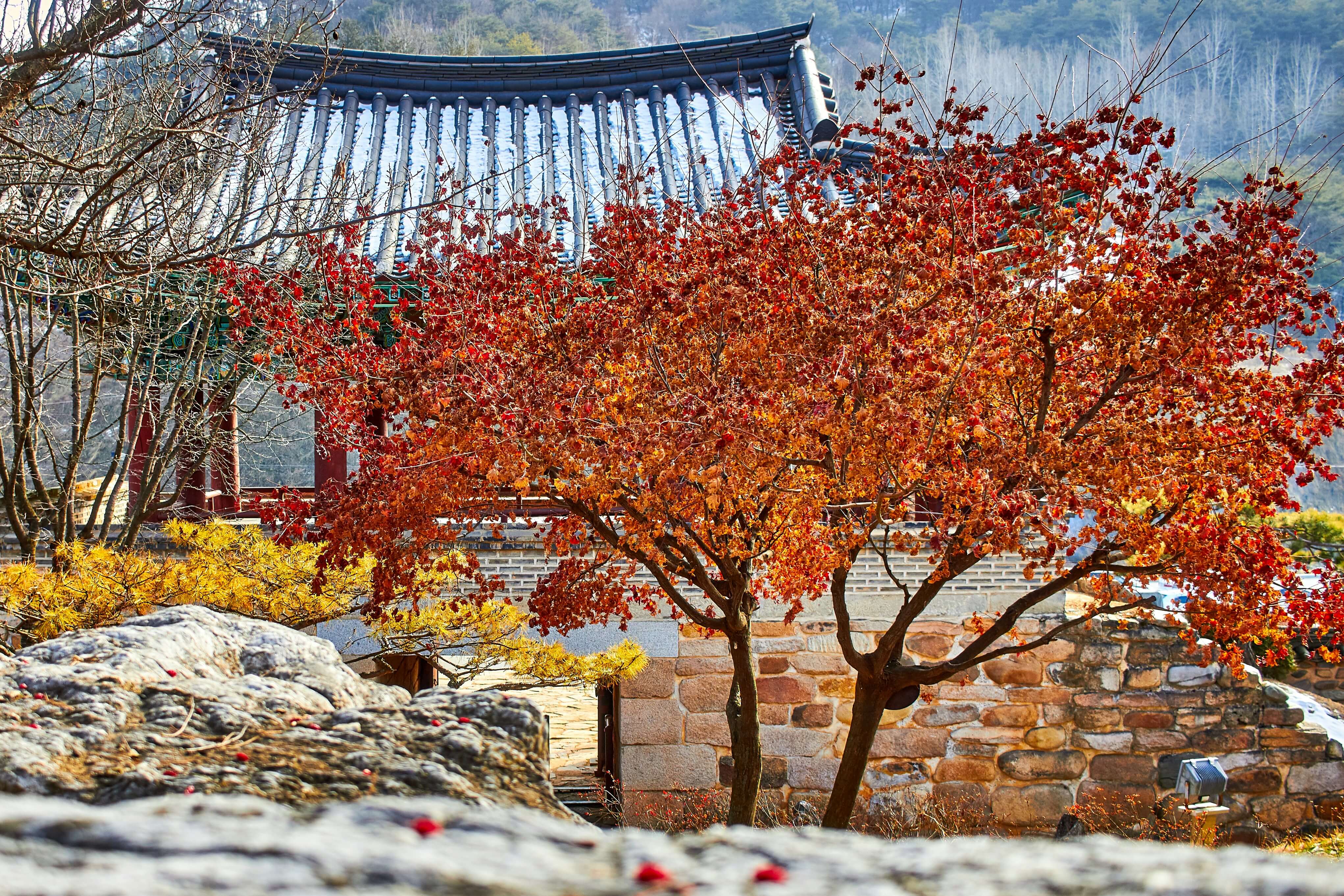 계절별 마케팅 맞춤법