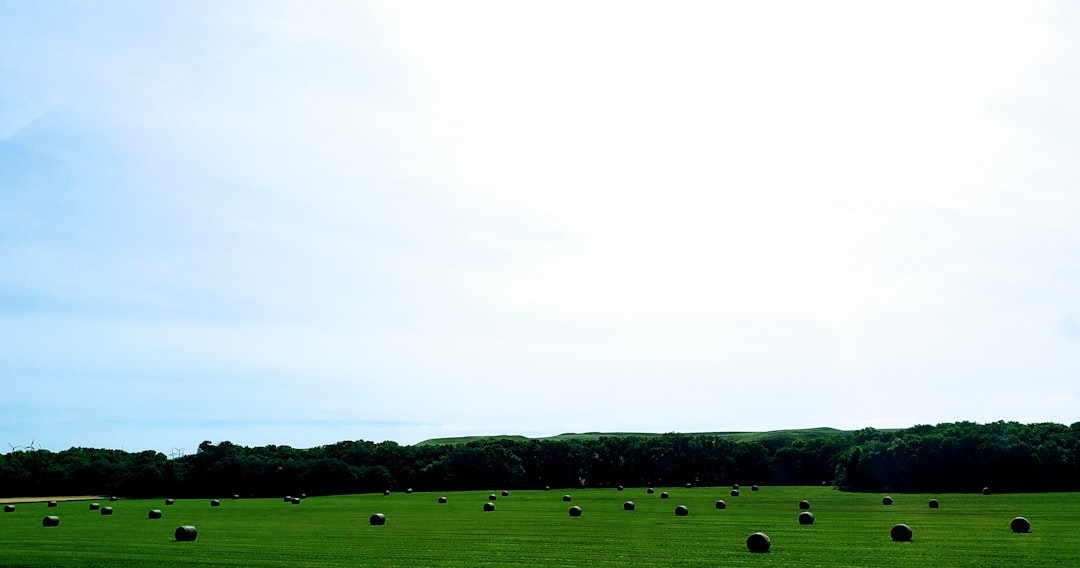 '농지'는 영어로 'farmland'입니다.