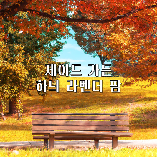 여행