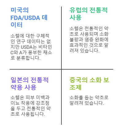 소렐 허브에 대한 연구