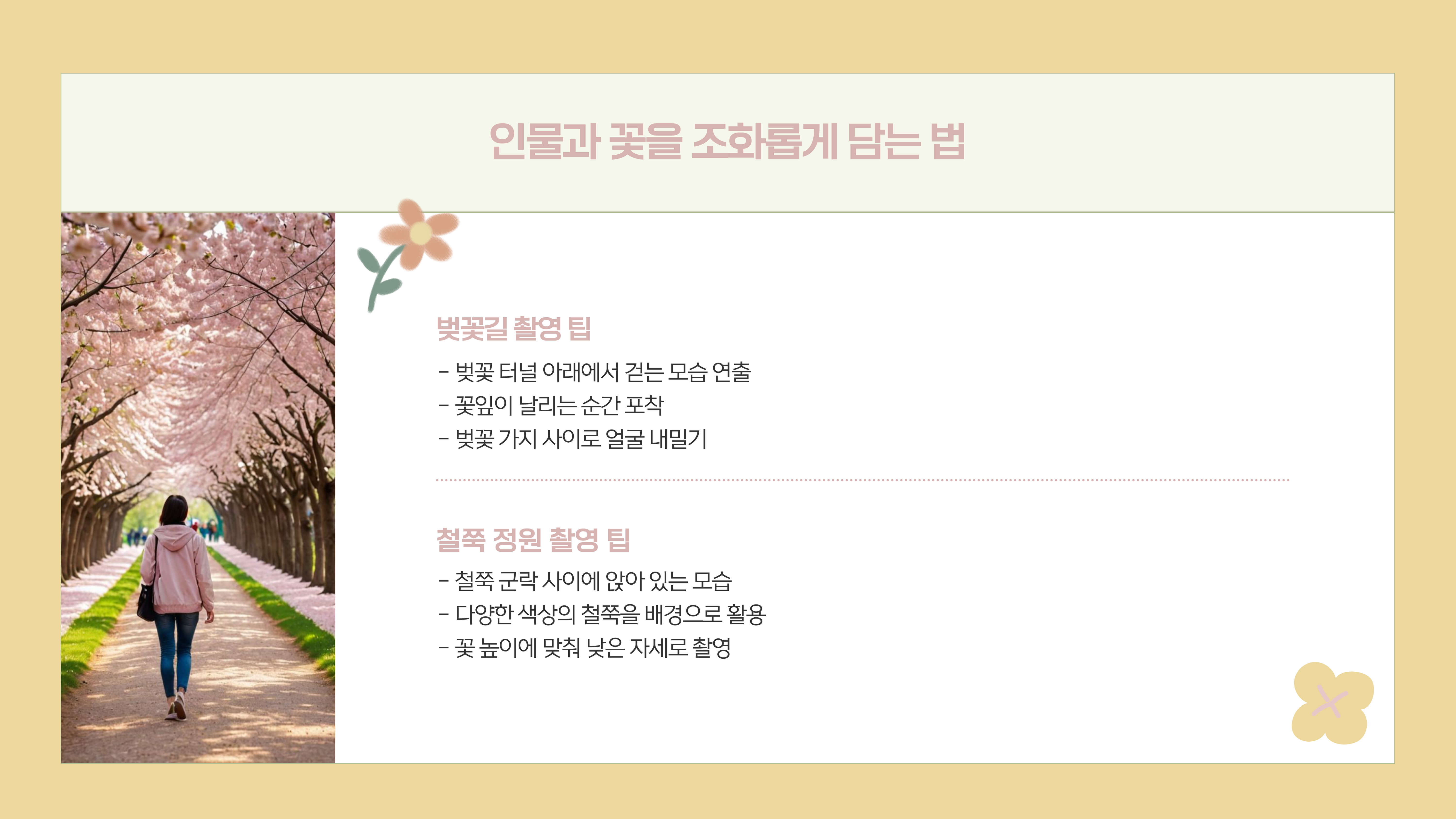 화담숲 봄꽃 사진 촬영 팁