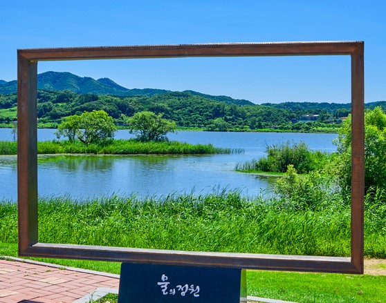 가을꽃놀이