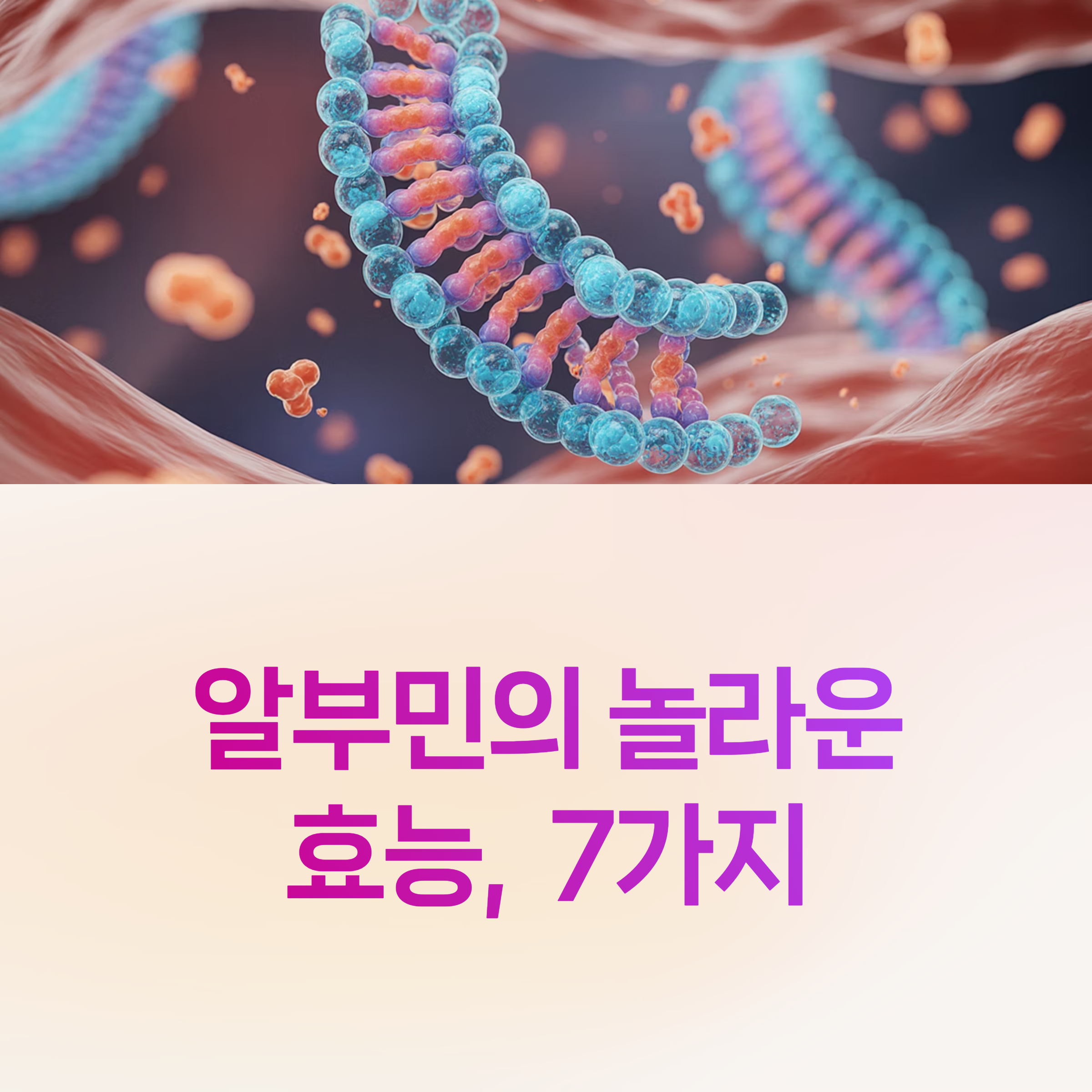 알부민 효능,