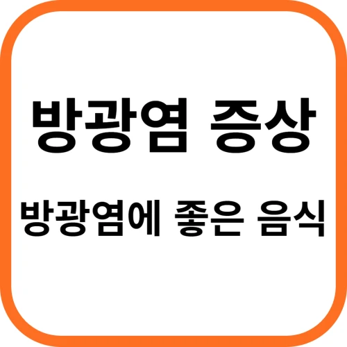 방광염 증상, 방광염에 좋은 음식