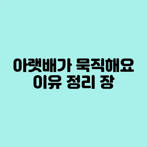 아랫배가 묵직해요 이유 정리 장, 여성 질환, 방광 등 다양